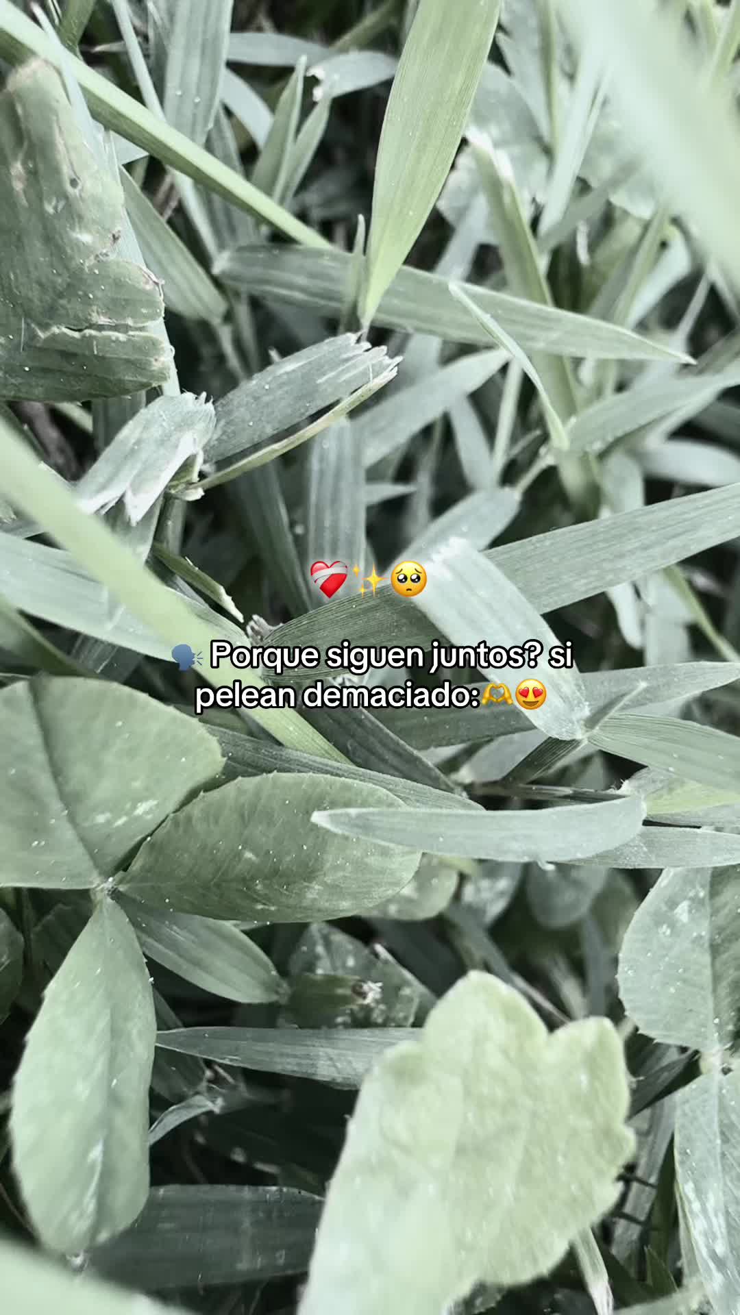 @💗.(