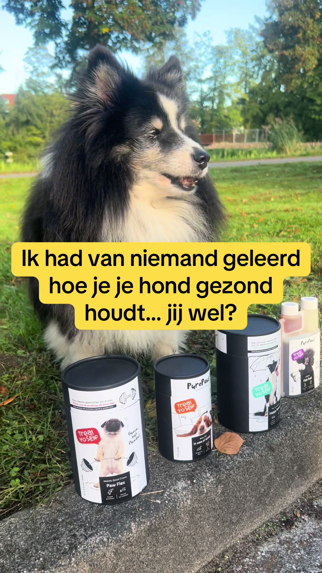 @Pure Paws