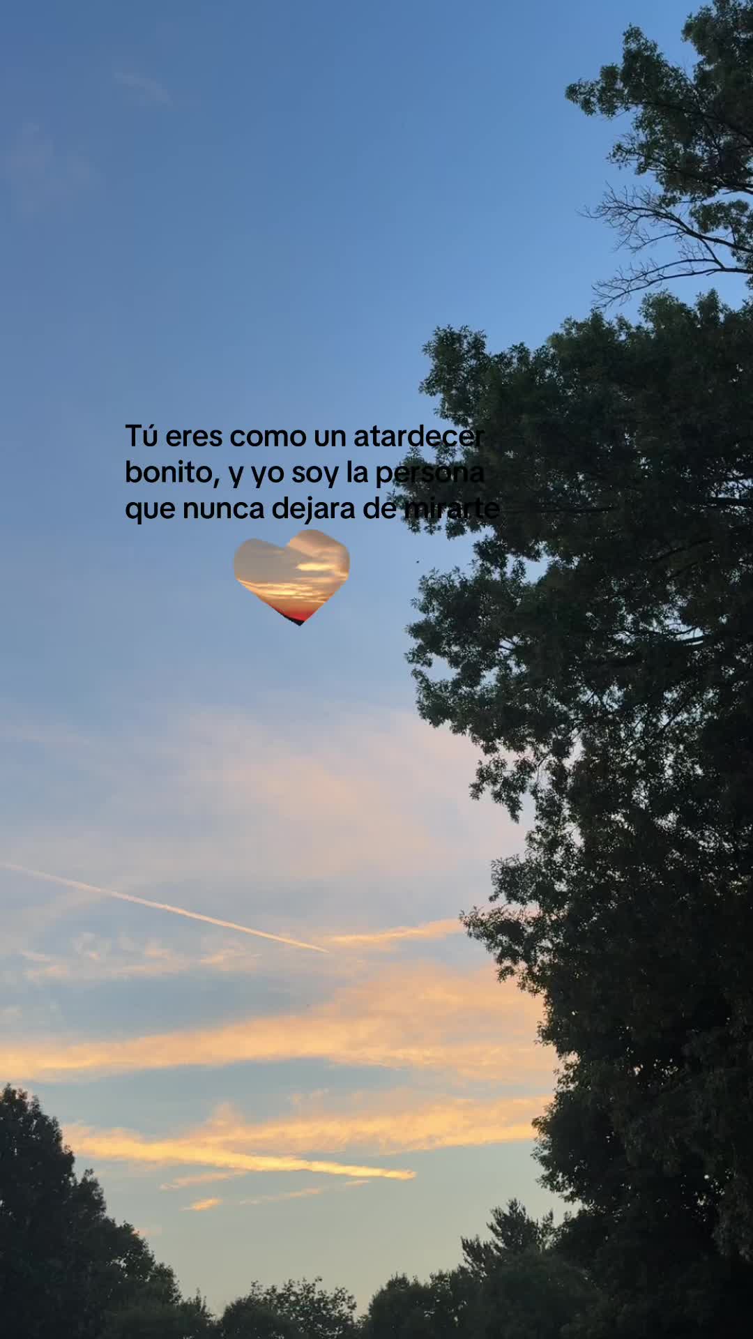 @colvinhz♪♩♬