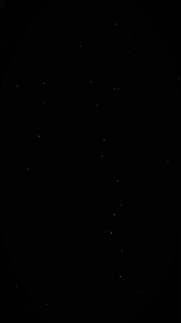 @「ɗɑղɕƙɦ❍ɑ✿TRIE」