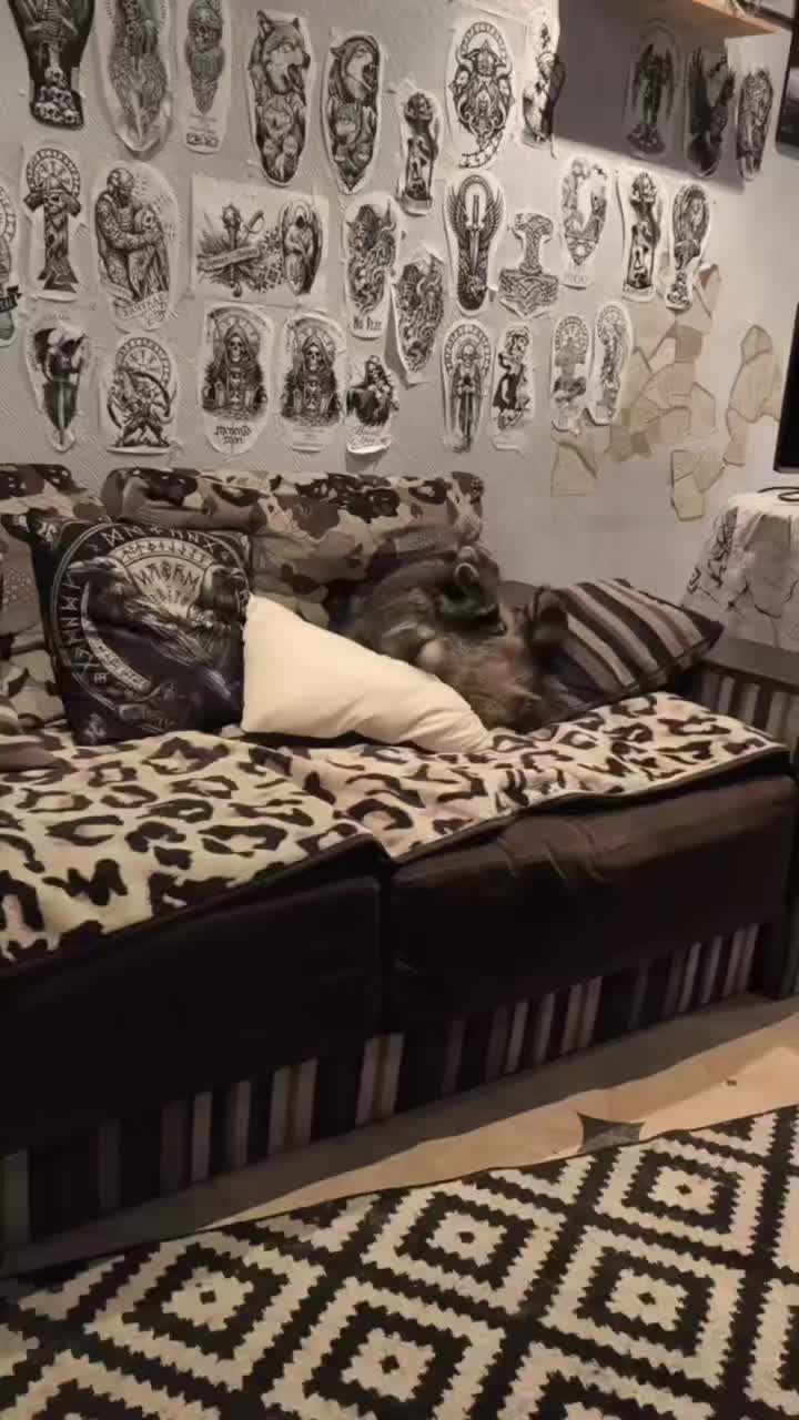 @Alyona МАТЬ ЕНОТА