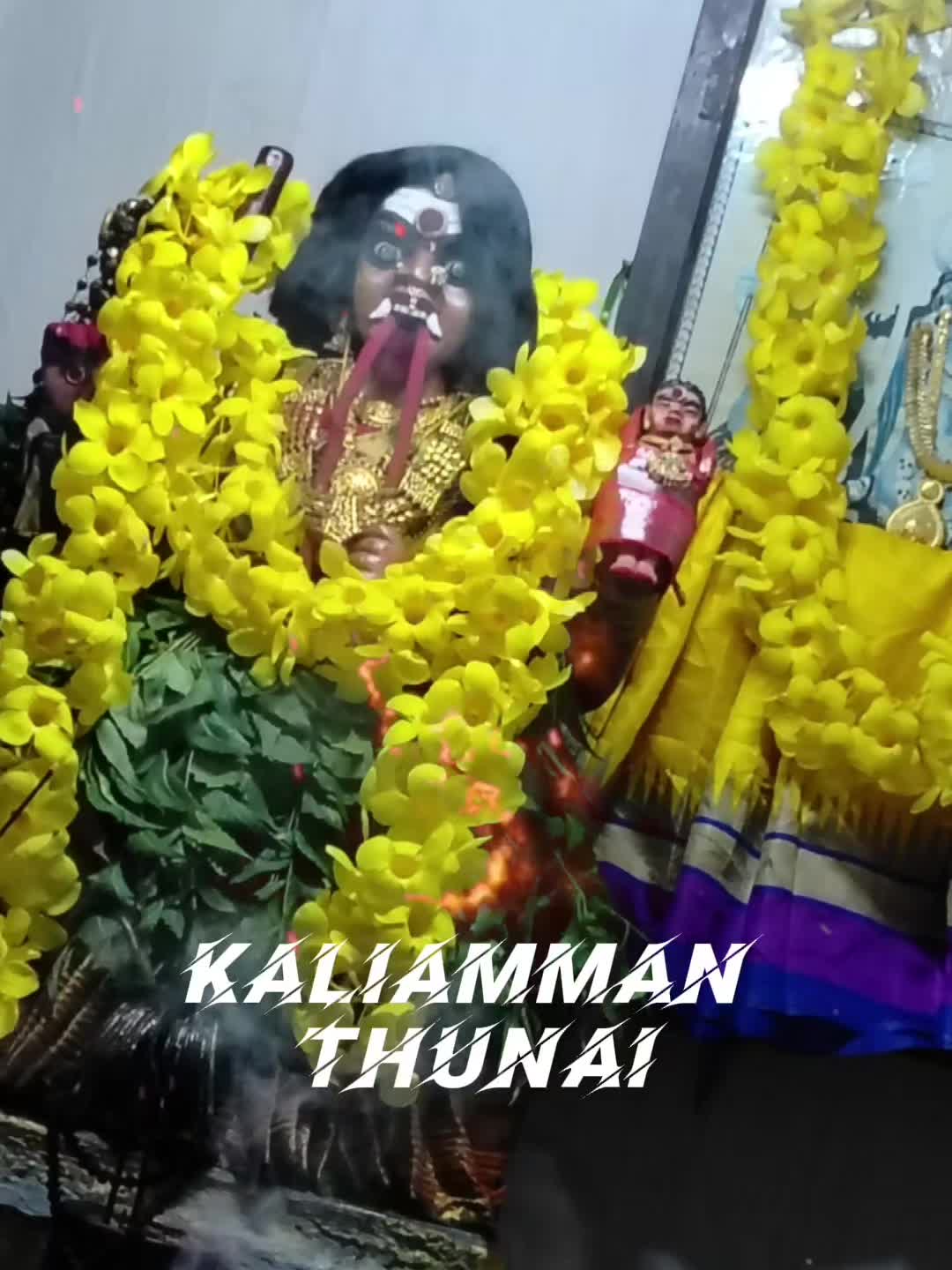 @Shamini Pardeepan