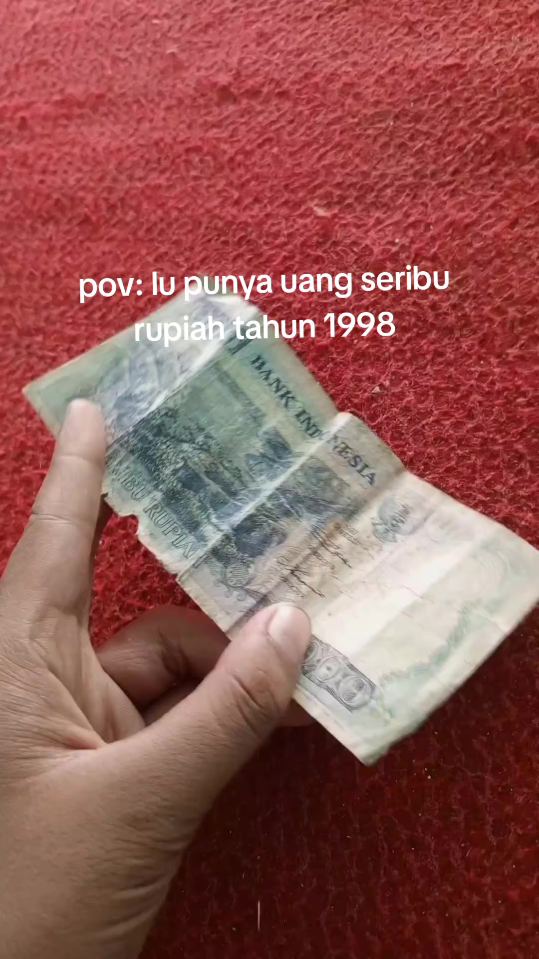 @𝗭𝗜𝗘𝗡𝗜𝗫 𝗦𝗨𝗞𝗔 𝗠𝗫