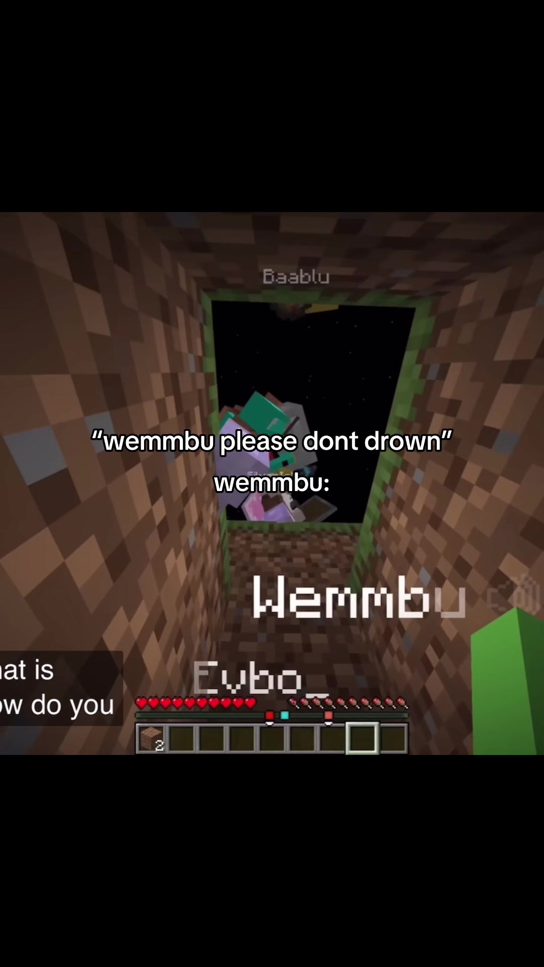 @catbuu