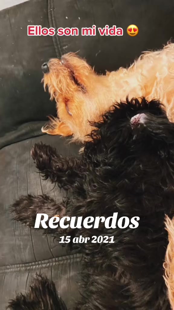 @LaliLauritaLau