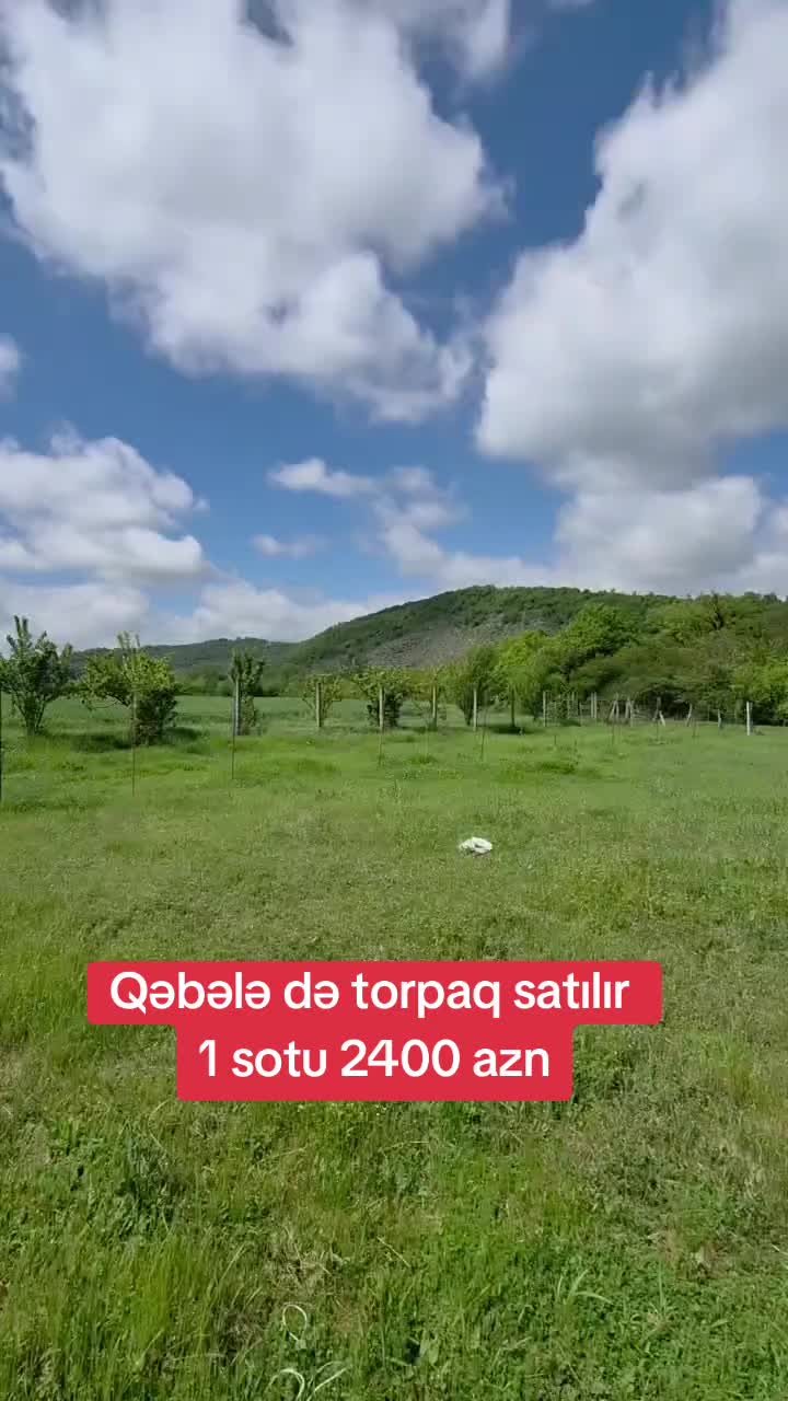 @qebeleturizm