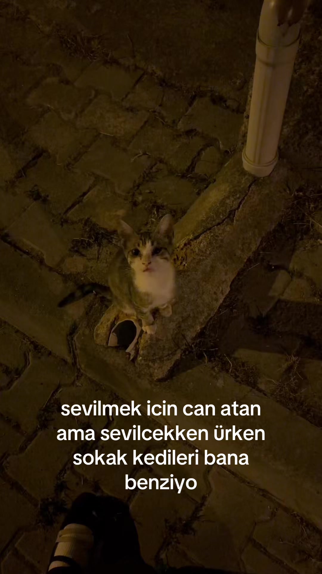 @askbulans hazretleri ✮⋆˙⋆.𐙚 ̊