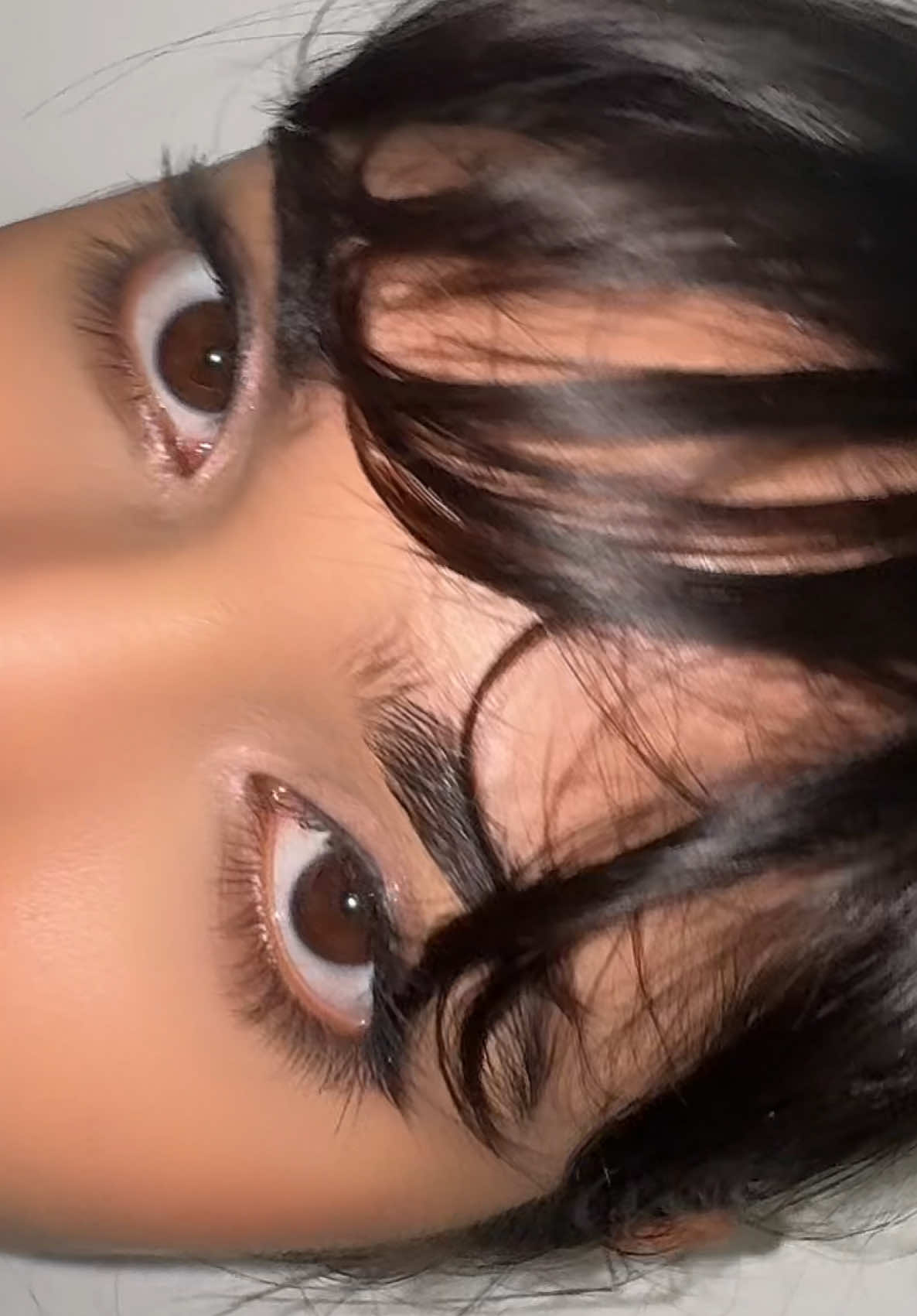 @elanimuller