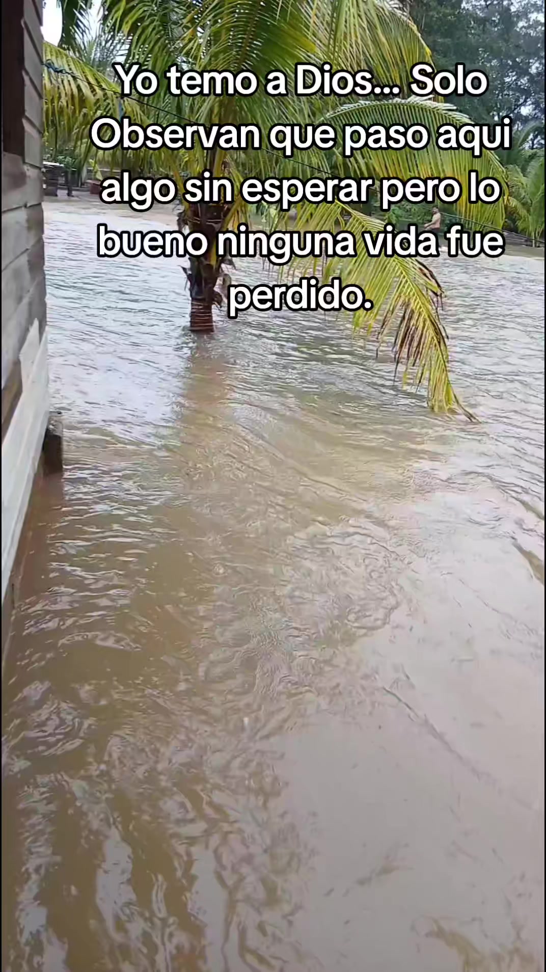 @🇬🇹EL_PRINCIPE_INDOMABLE_🇧🇿
