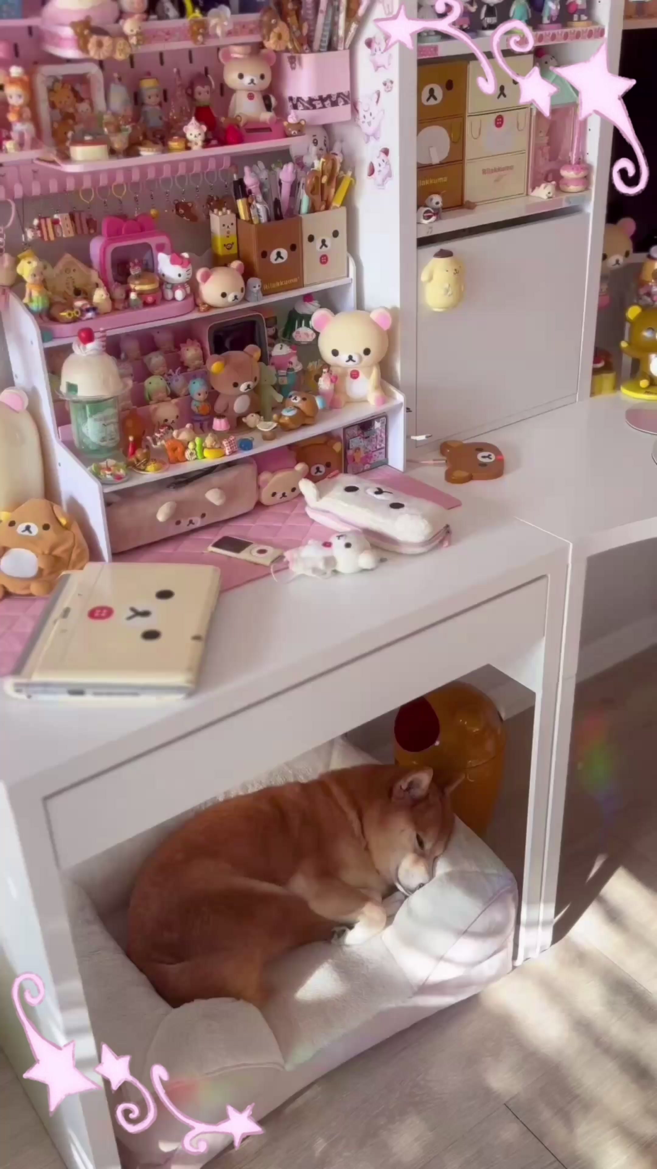 @Fab ʕ – ᴥ – ʔ