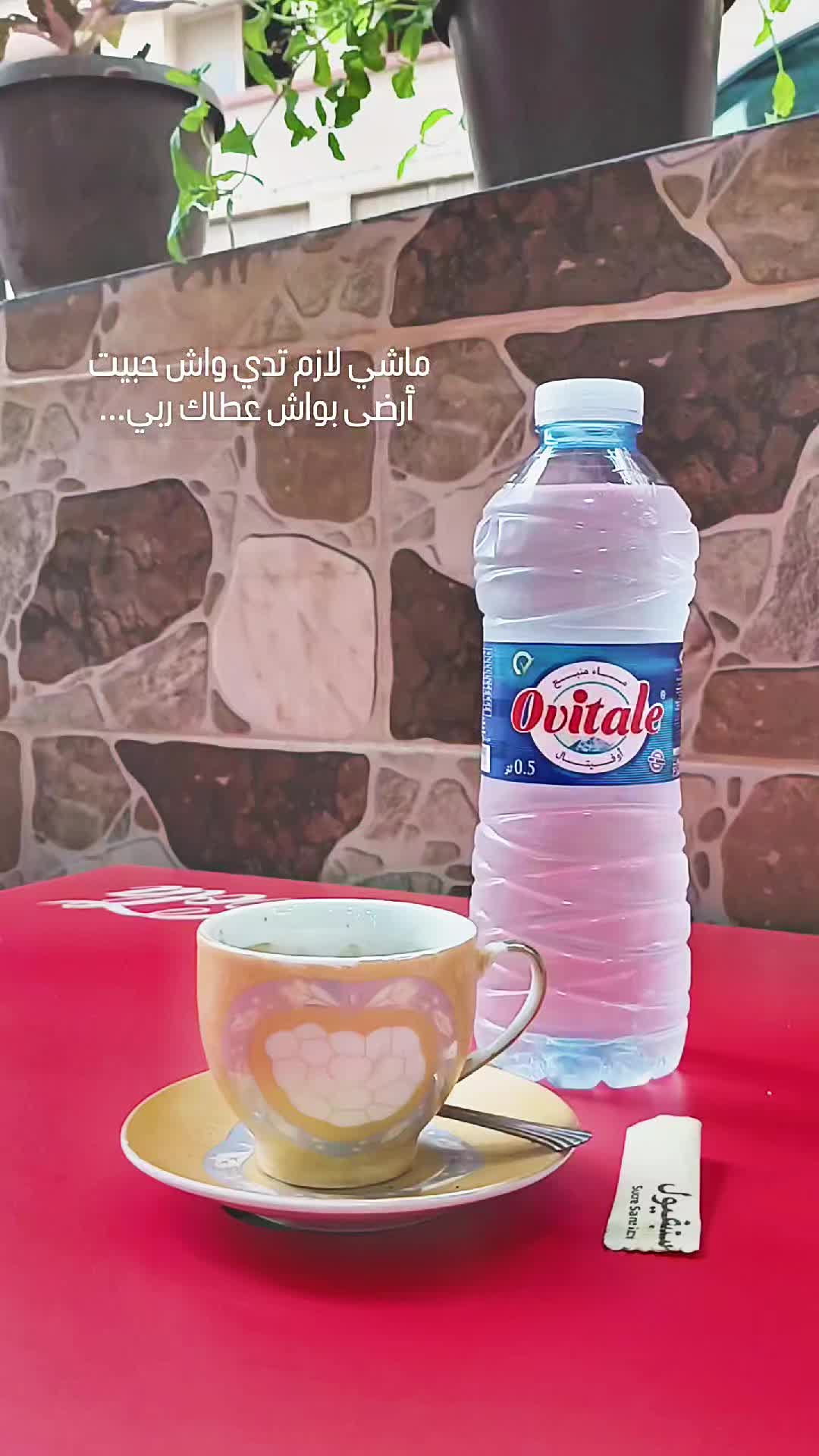 @Nb16🇮🇹🇩🇿