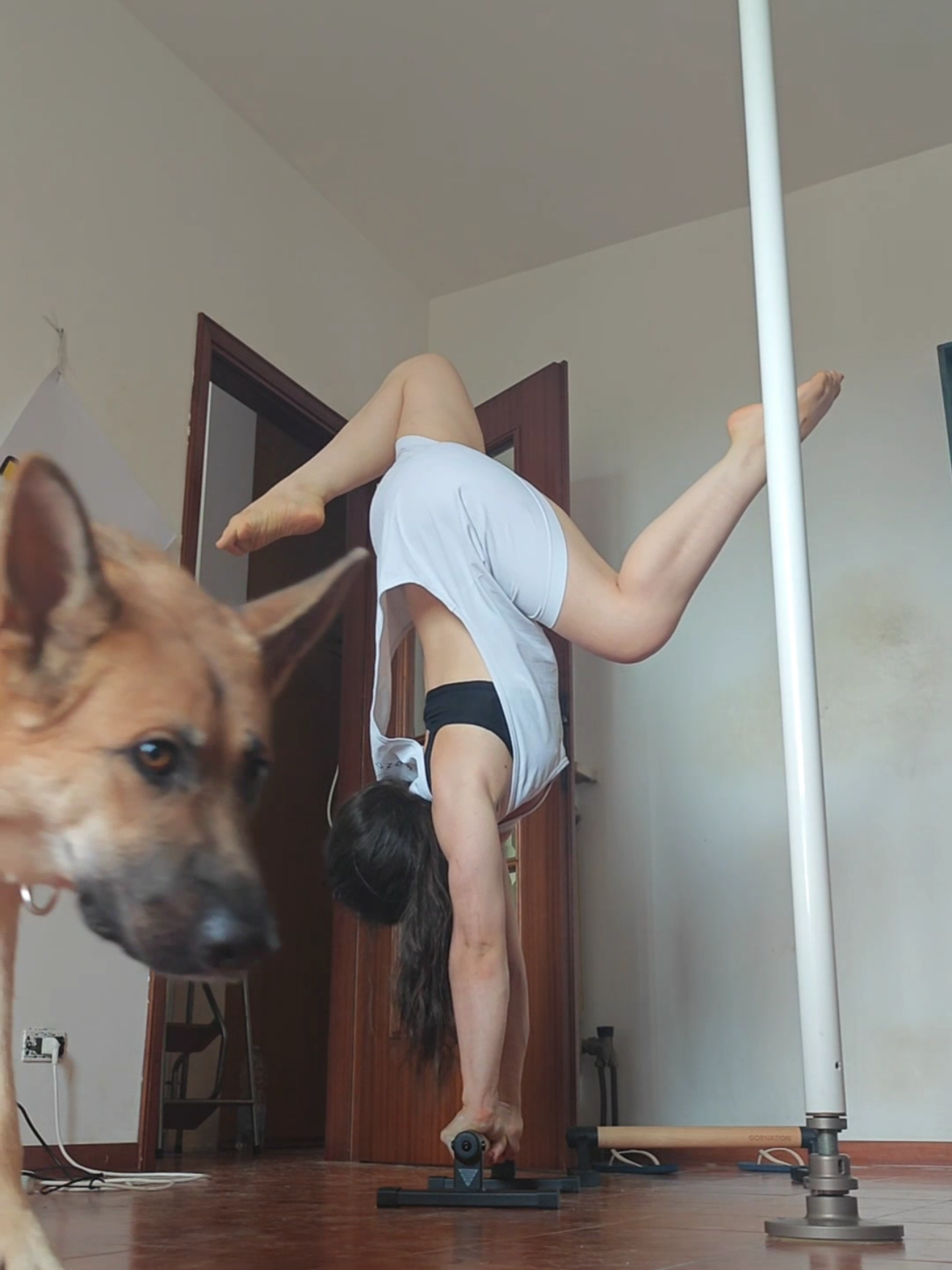 @acrobatic___