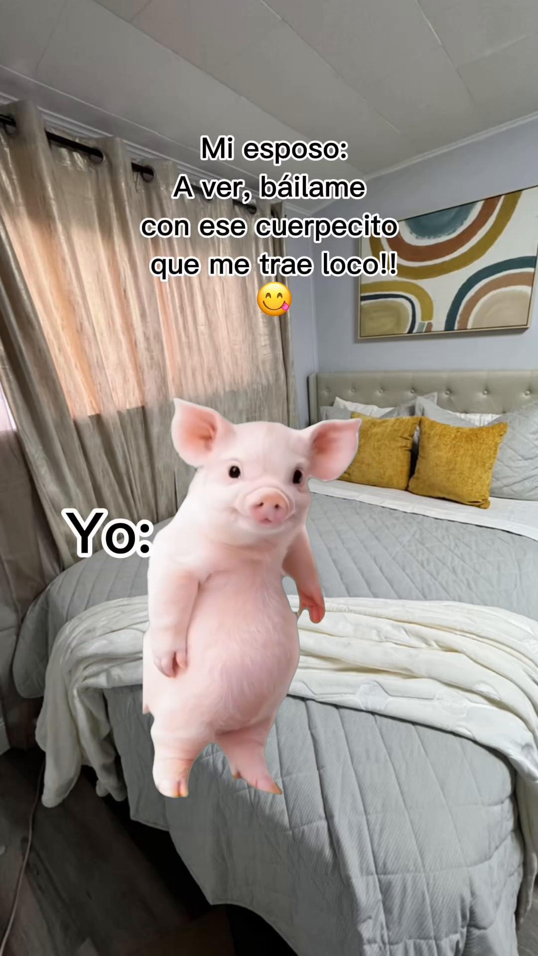 @dulce.garayp
