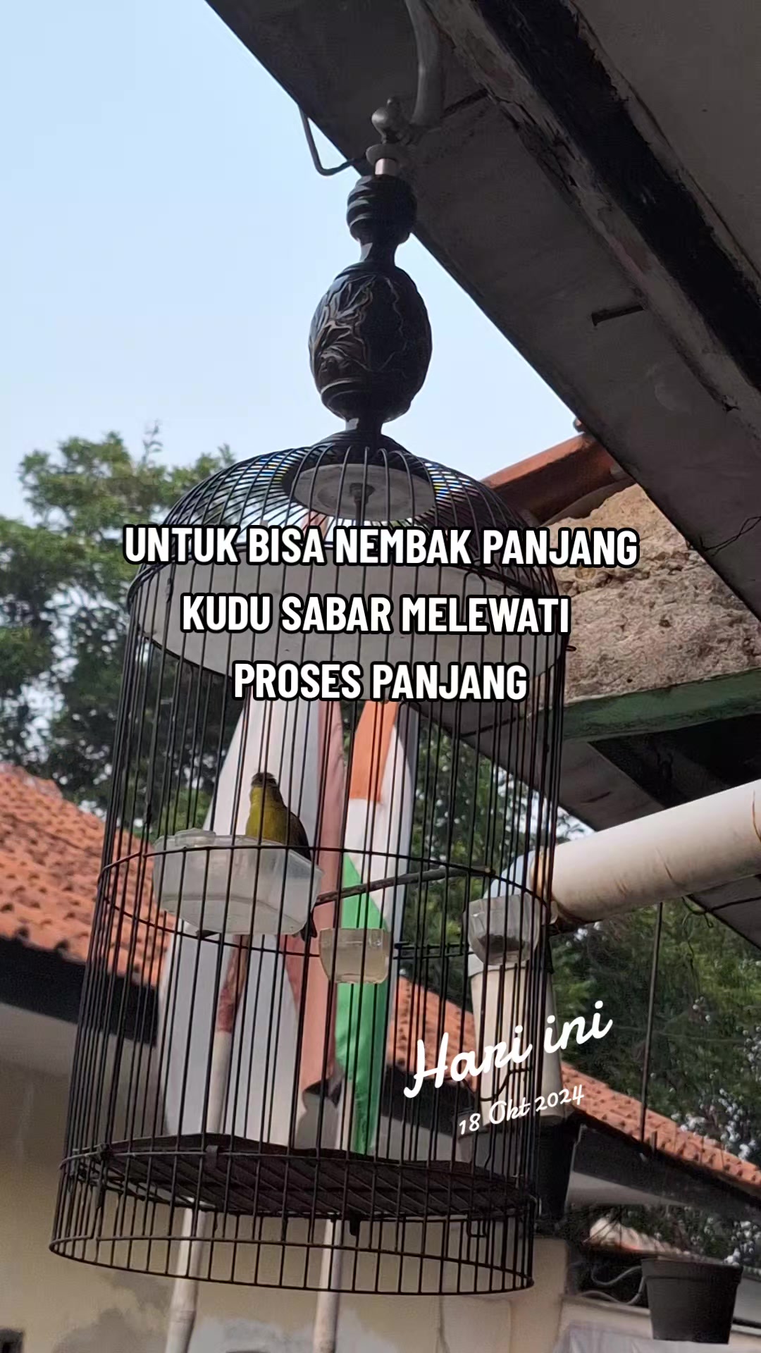 @totalbukpar