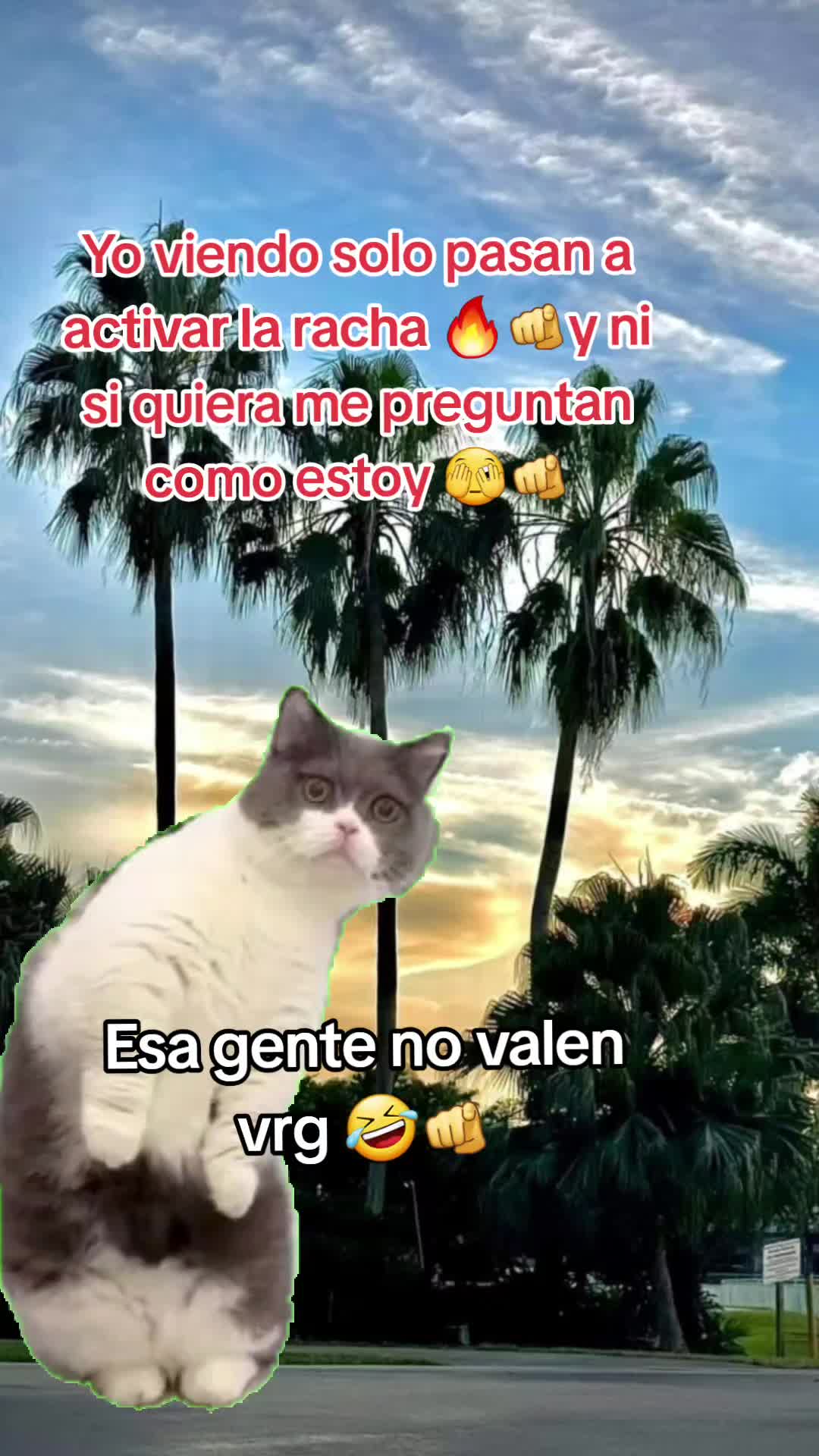 @Gabrielito 502