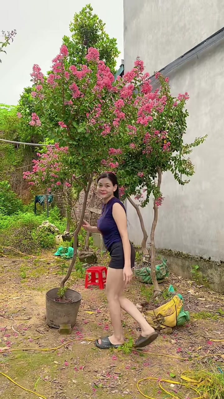 @Khổng La