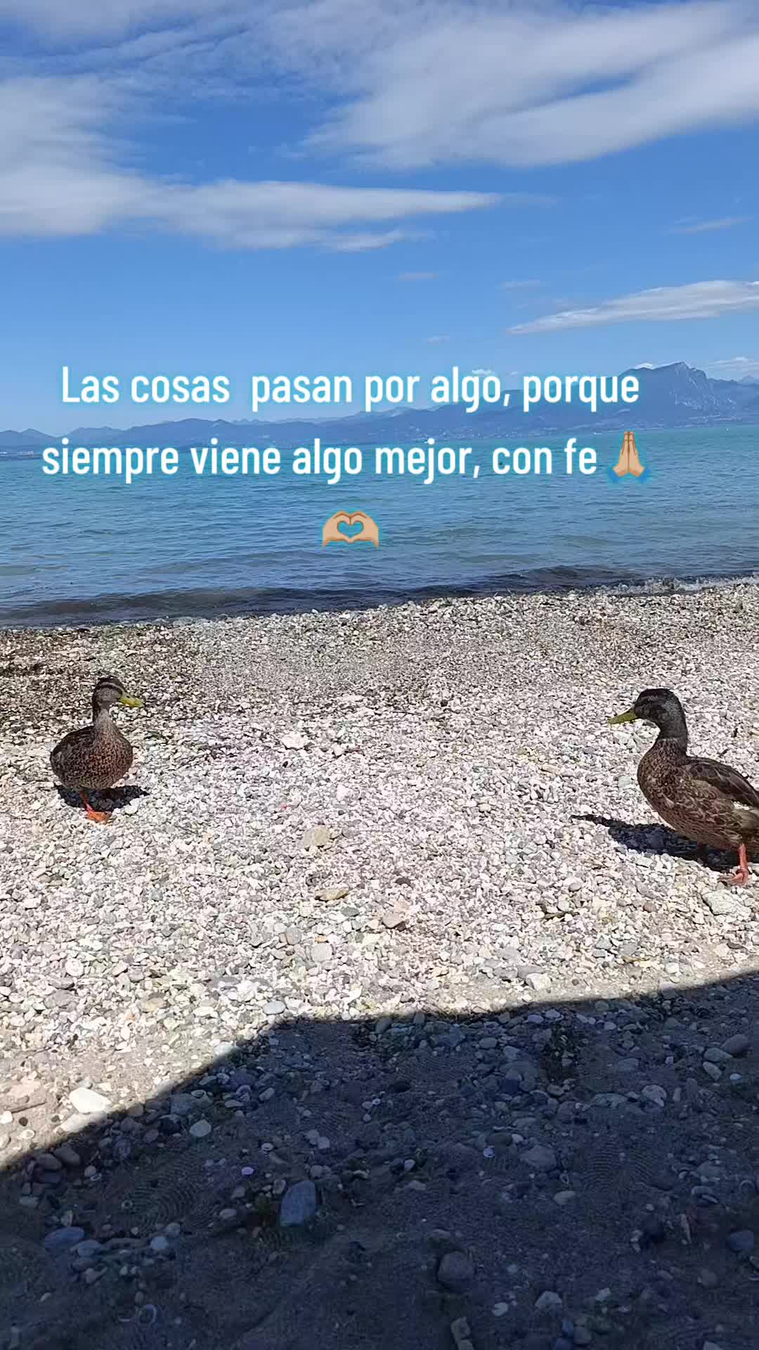 @lizette