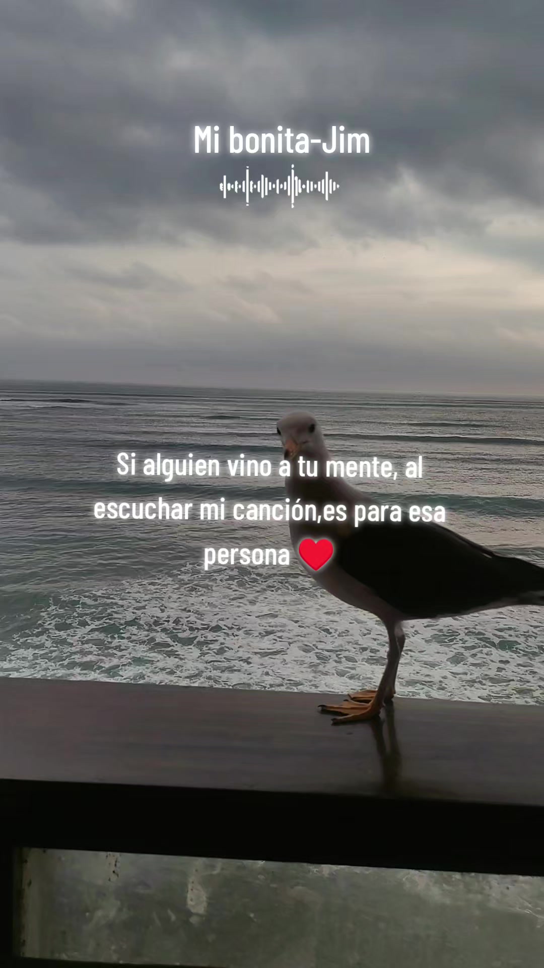 @🎙️Jim de Jimena✨🤍🐻❄️👑🦘🐮