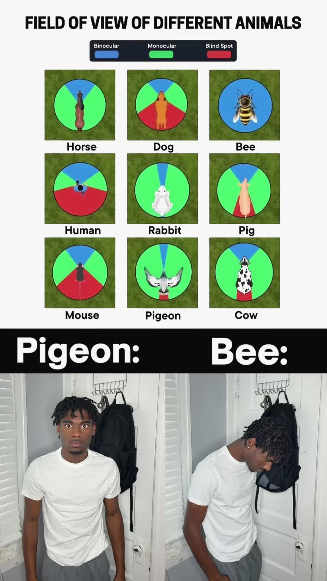 @ibekeigh