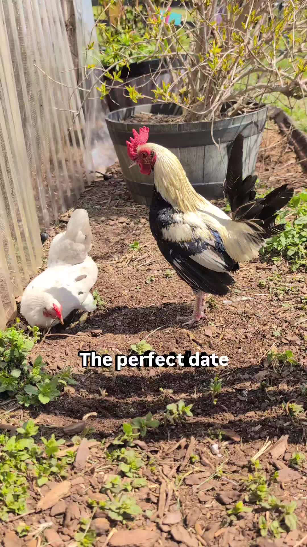 @Kelly Rutkowski