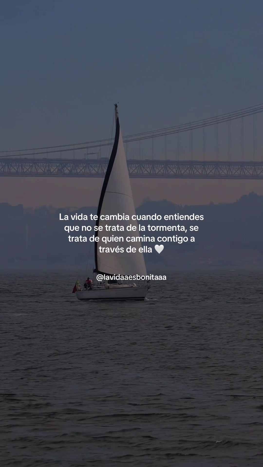 @vidabonita❤️&zwj;🩹