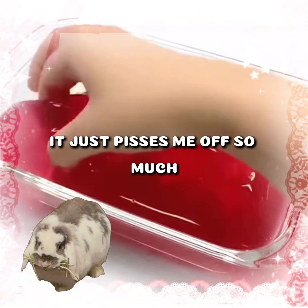 @Bunny