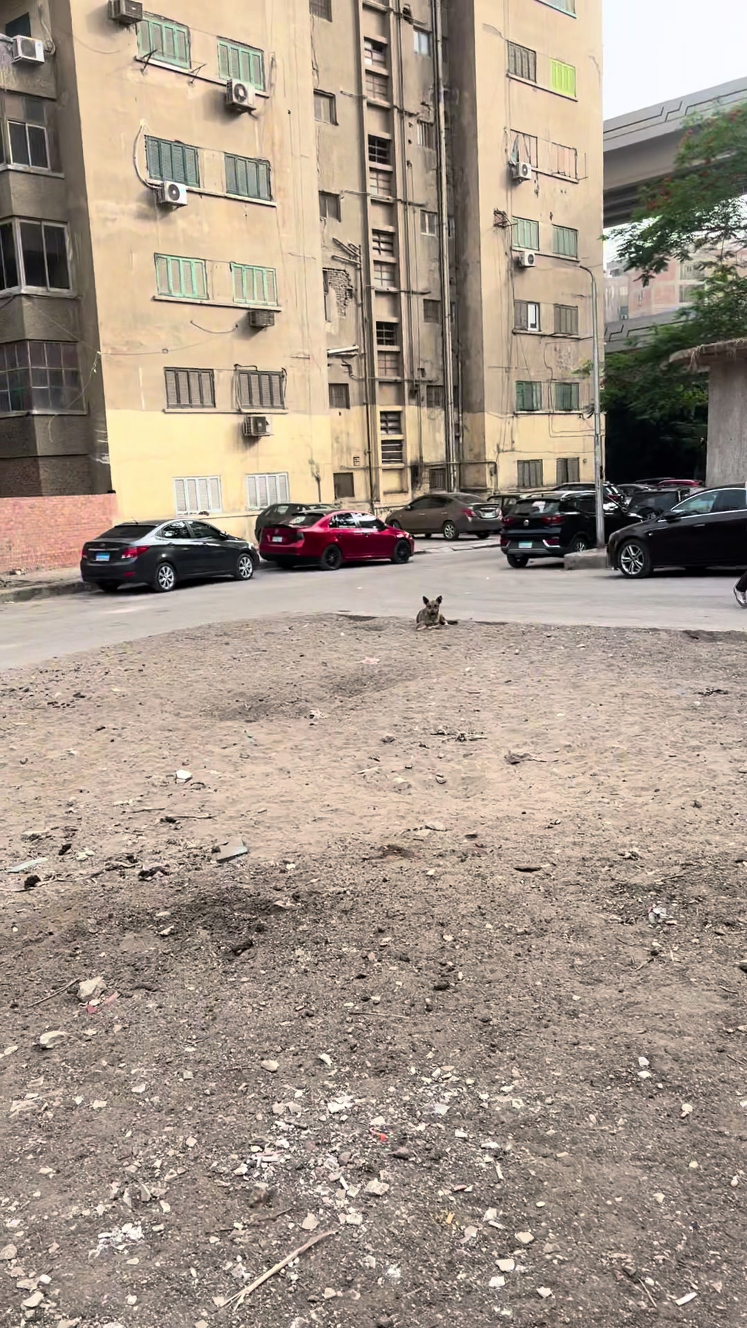 @ملاك | Malaak