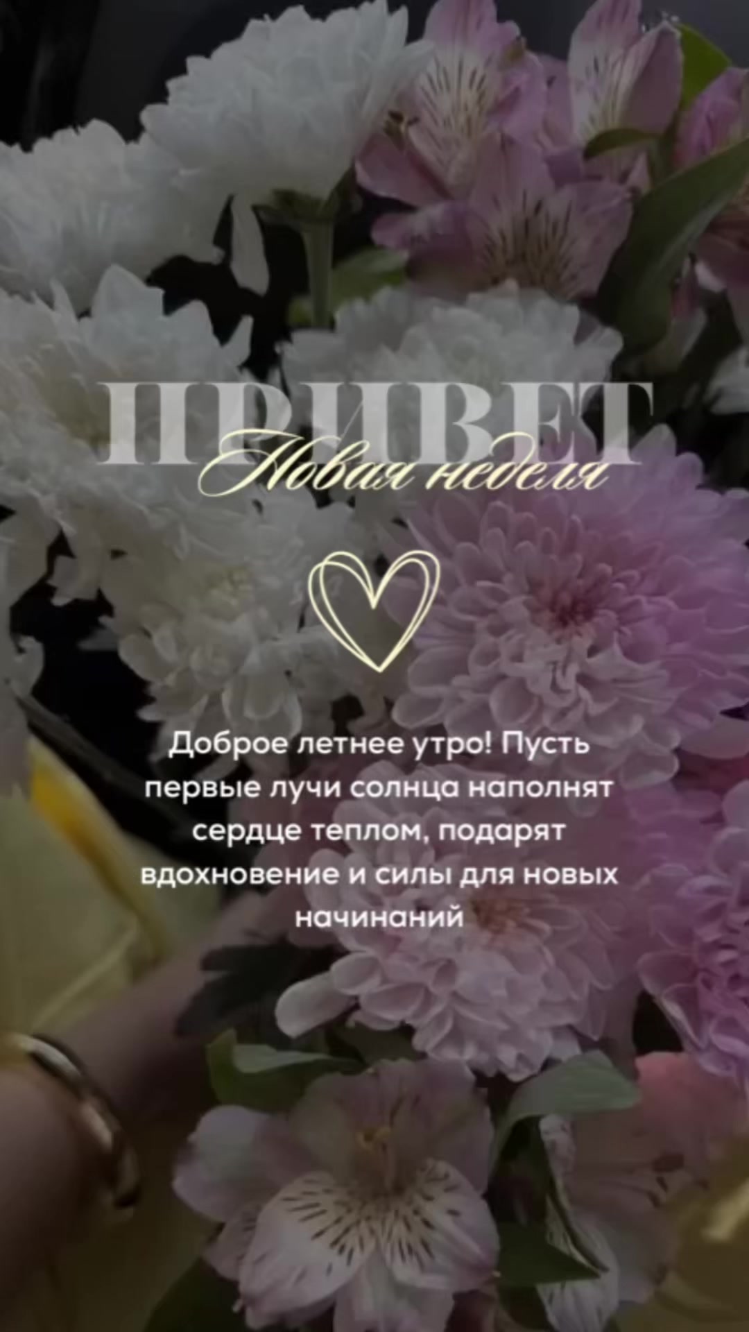 @Vera