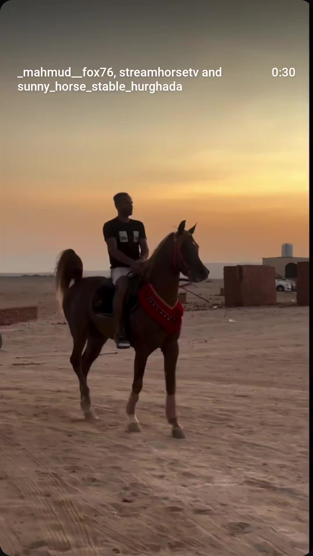@streamhorse