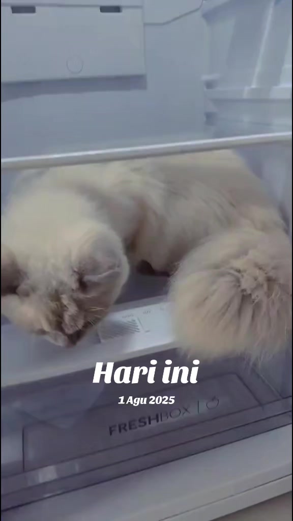 @💅🏻💅🏻tiara tanjung🧚♀️