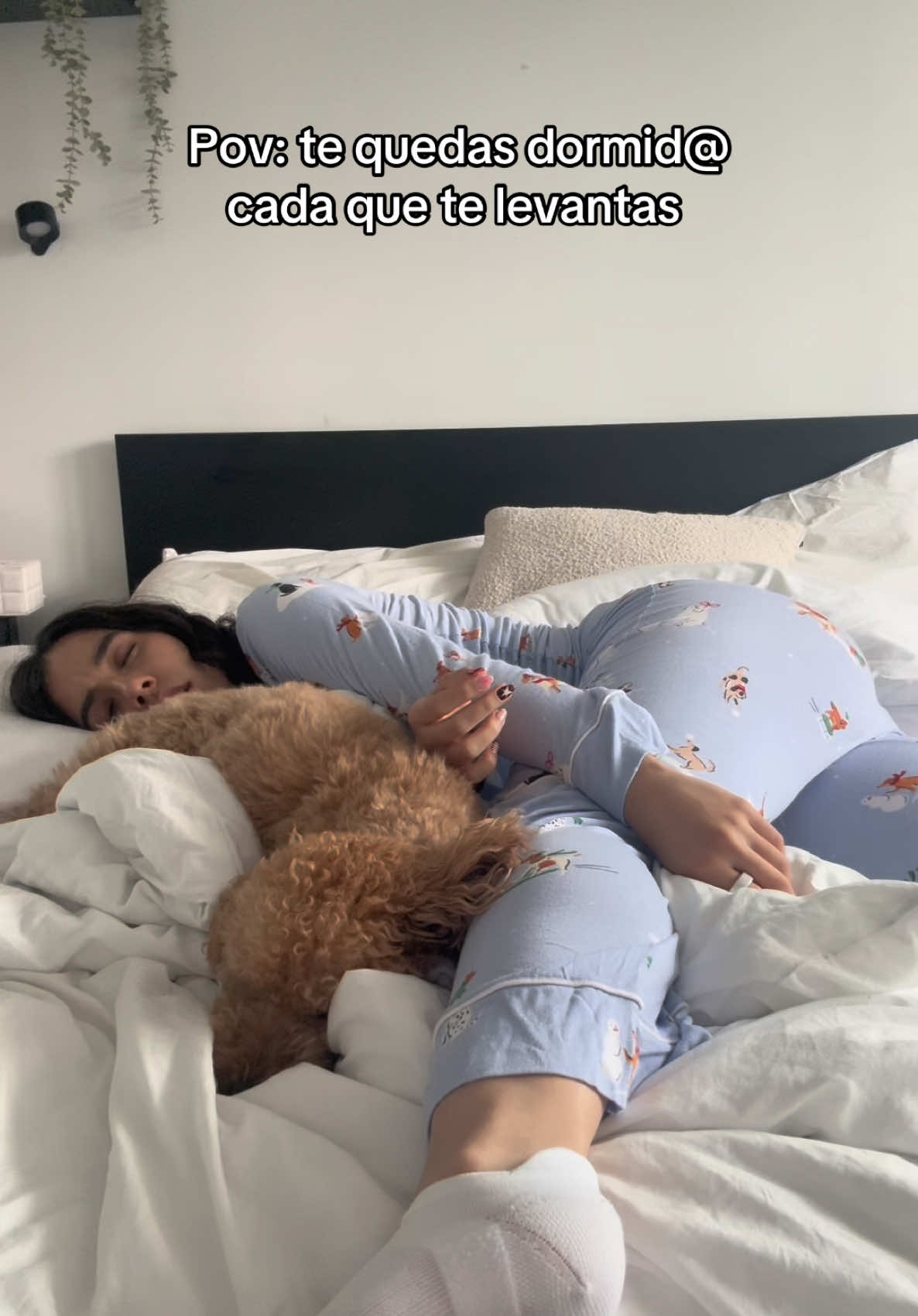 @Stephany Leal