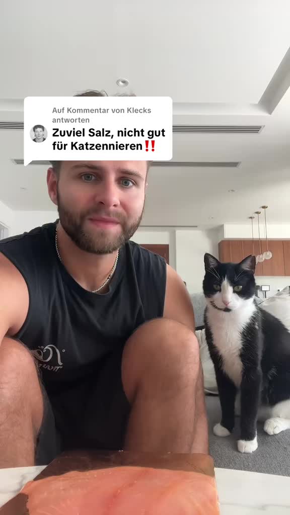 @Senfmann