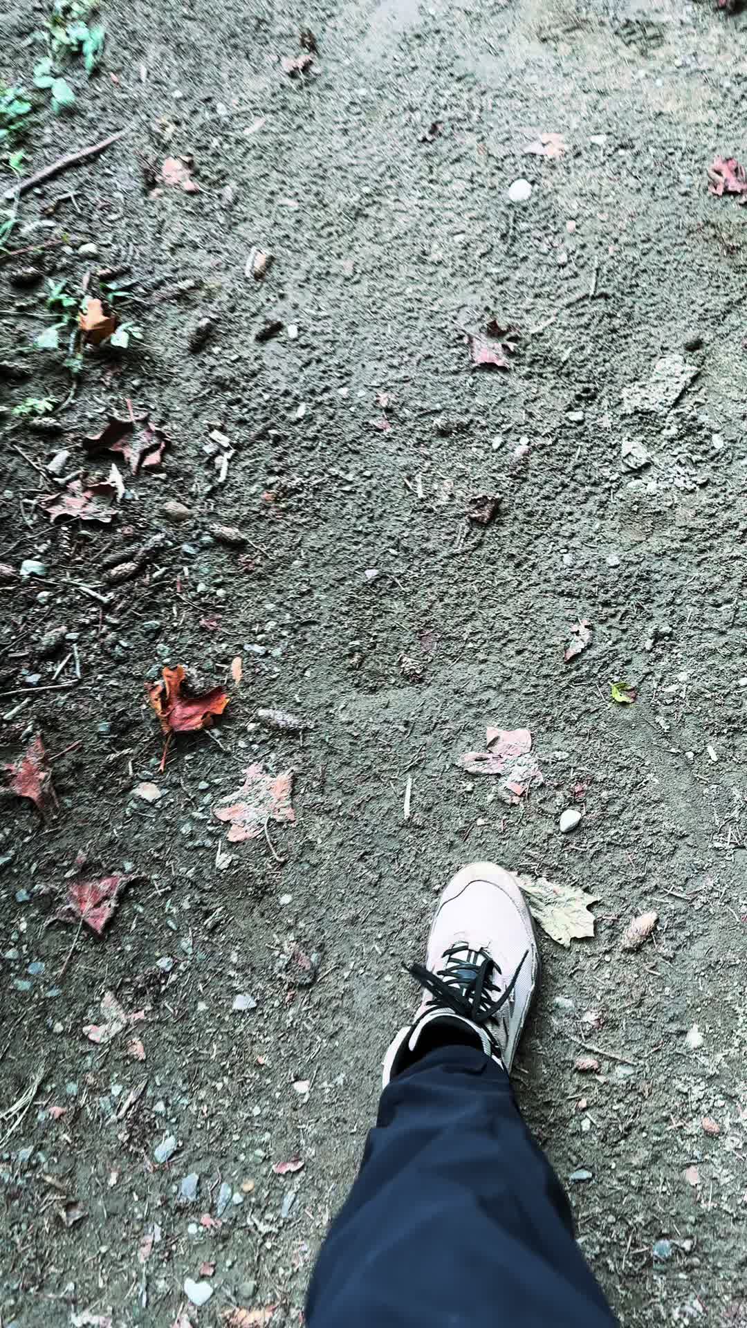 @🌲 James | WA 🏔️