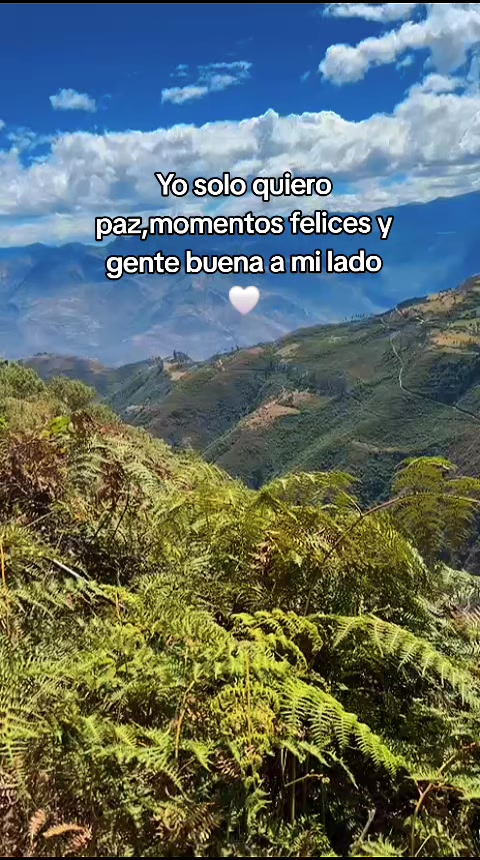 @Lina navarro
