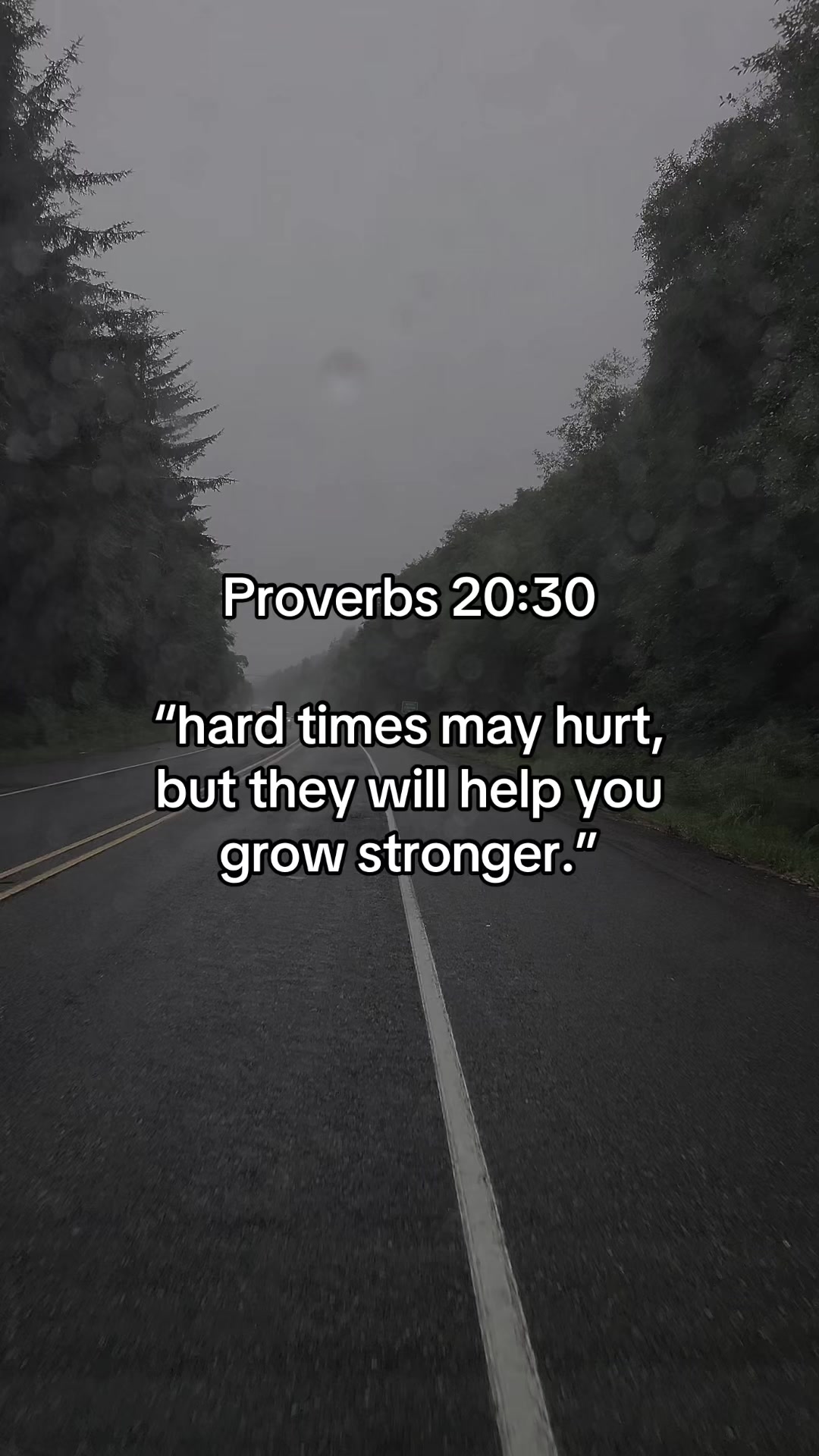 @Vibrant_Bible