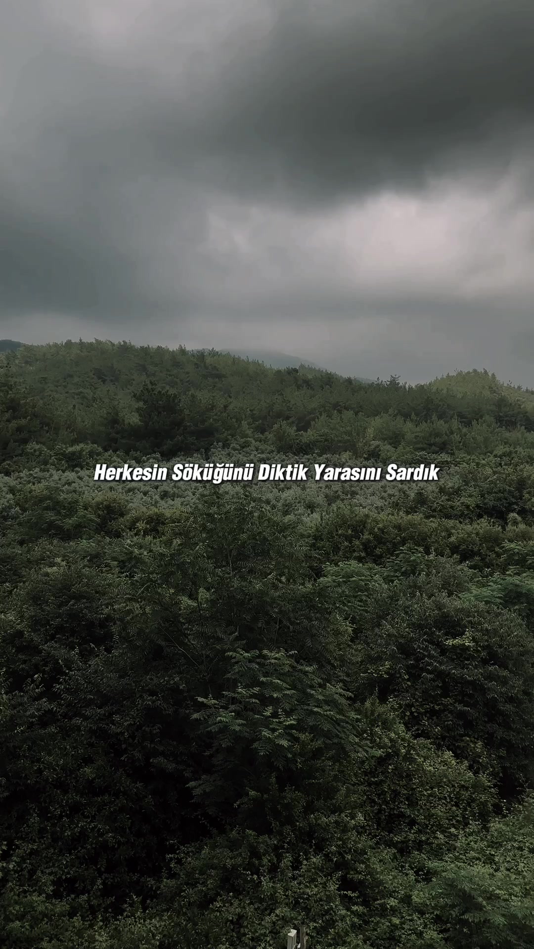 @𝗠.𝗬