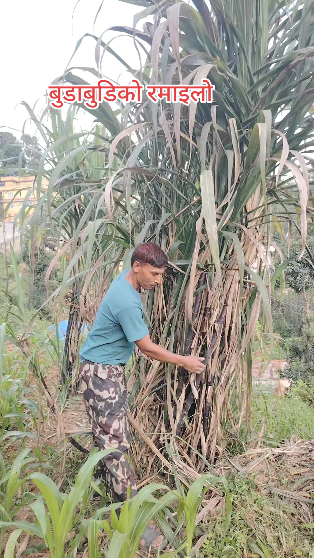 @अधिकारी लक्ष्मी