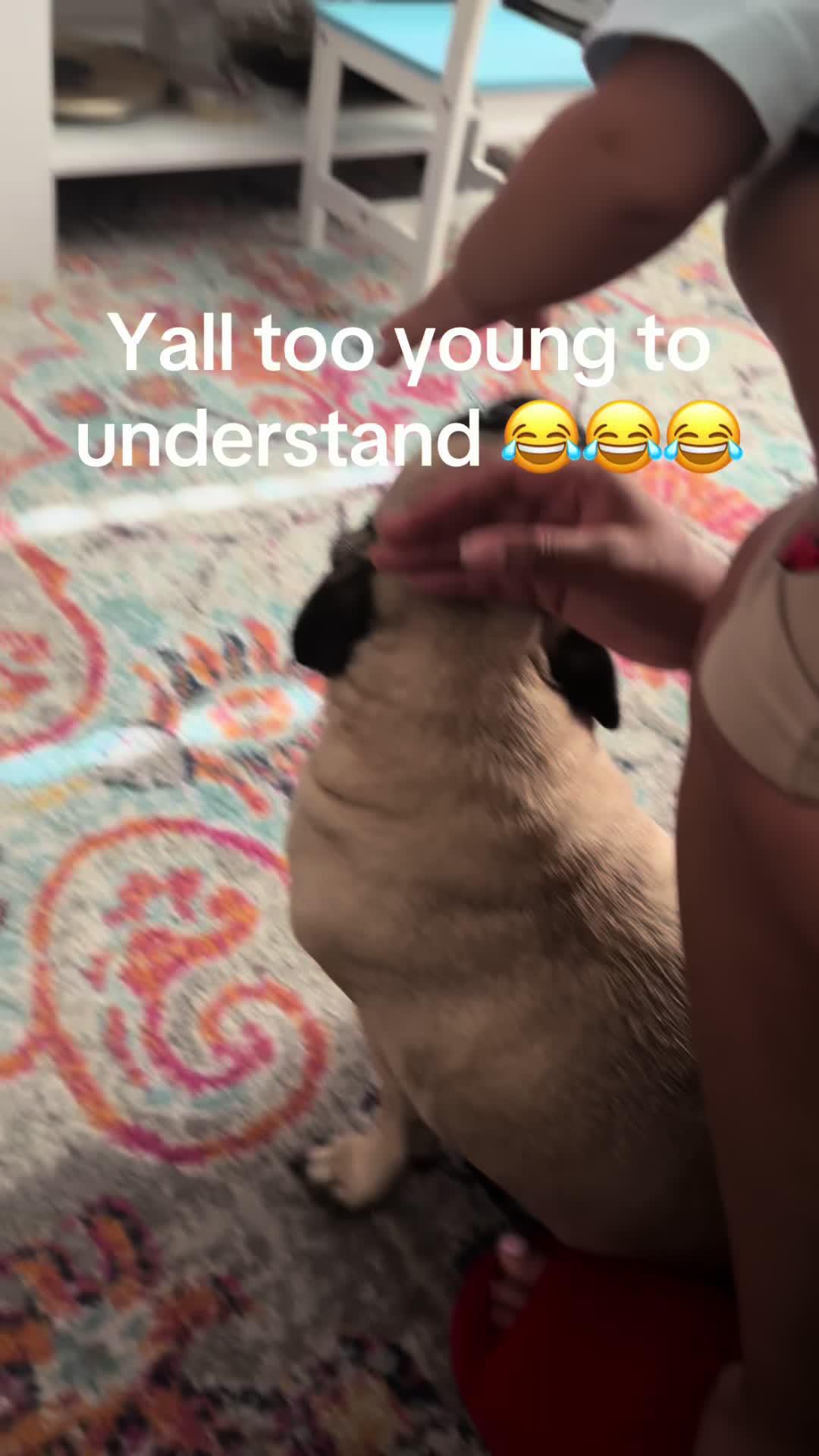 @FTA.BAM