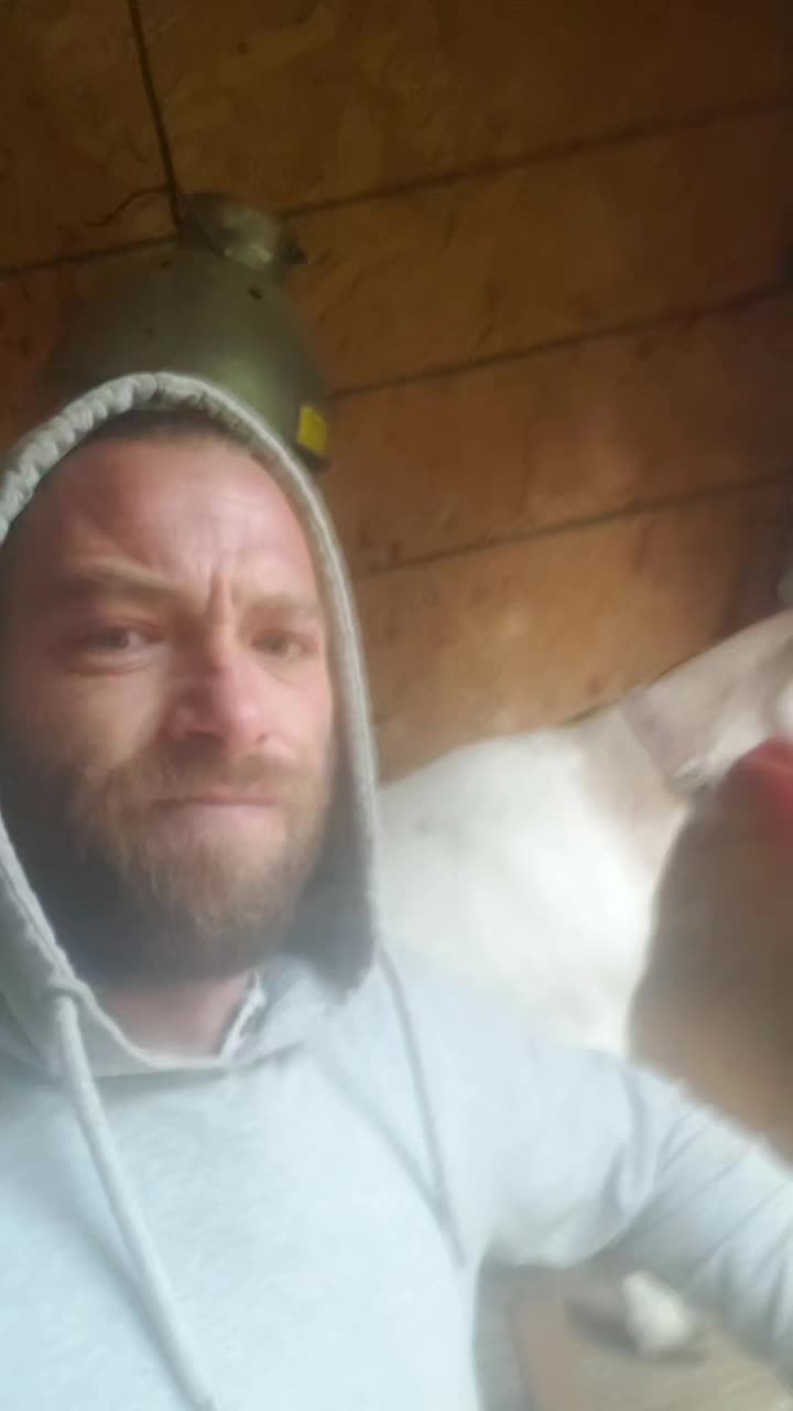 @EL DiC des bois🔥🐔🐓🦌🐏🐐🦌