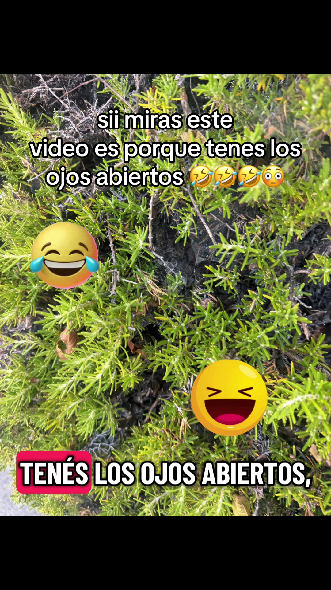 @Sandra Santiago
