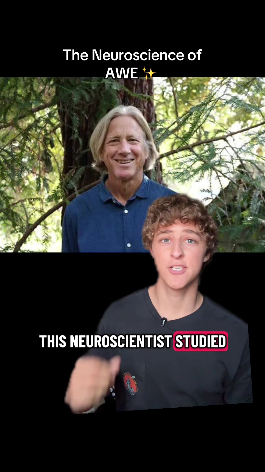 @brandonsbrainwave