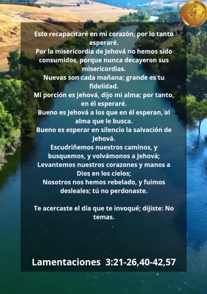 @Vicayquipa