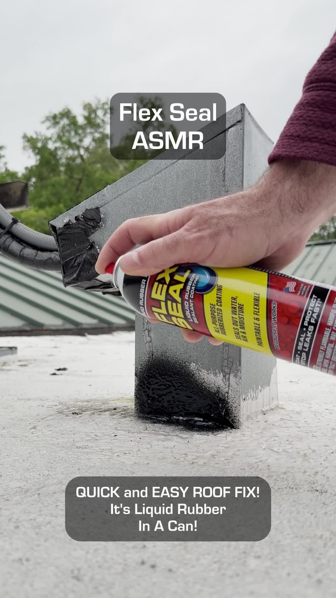 @Flex Seal