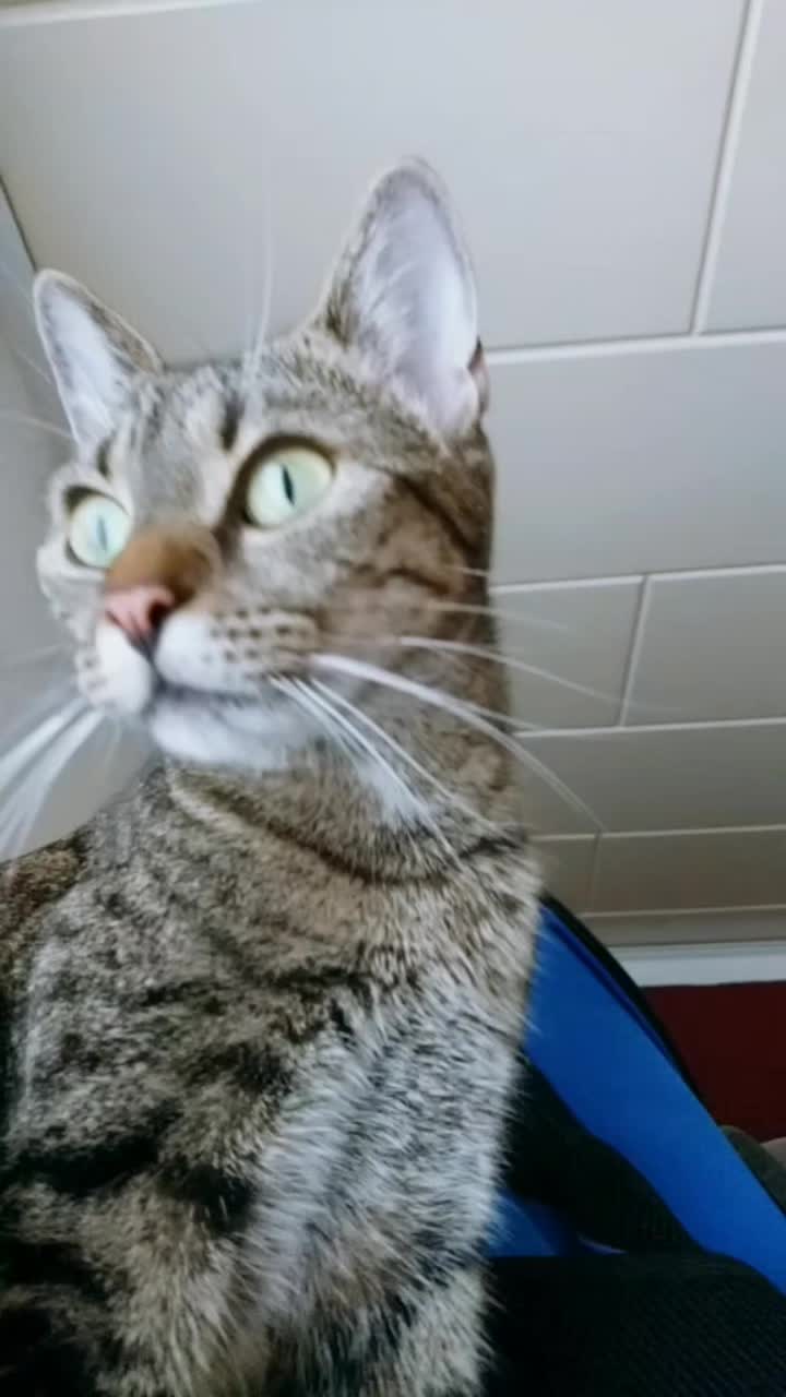 @😸 Alex 😸