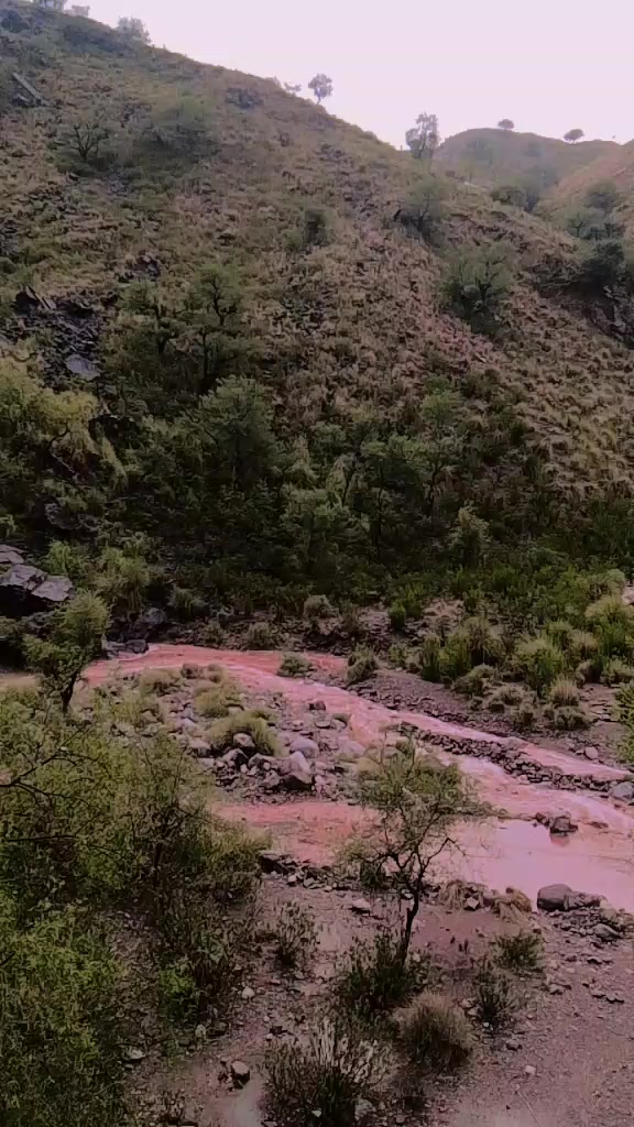 @sanatanha287