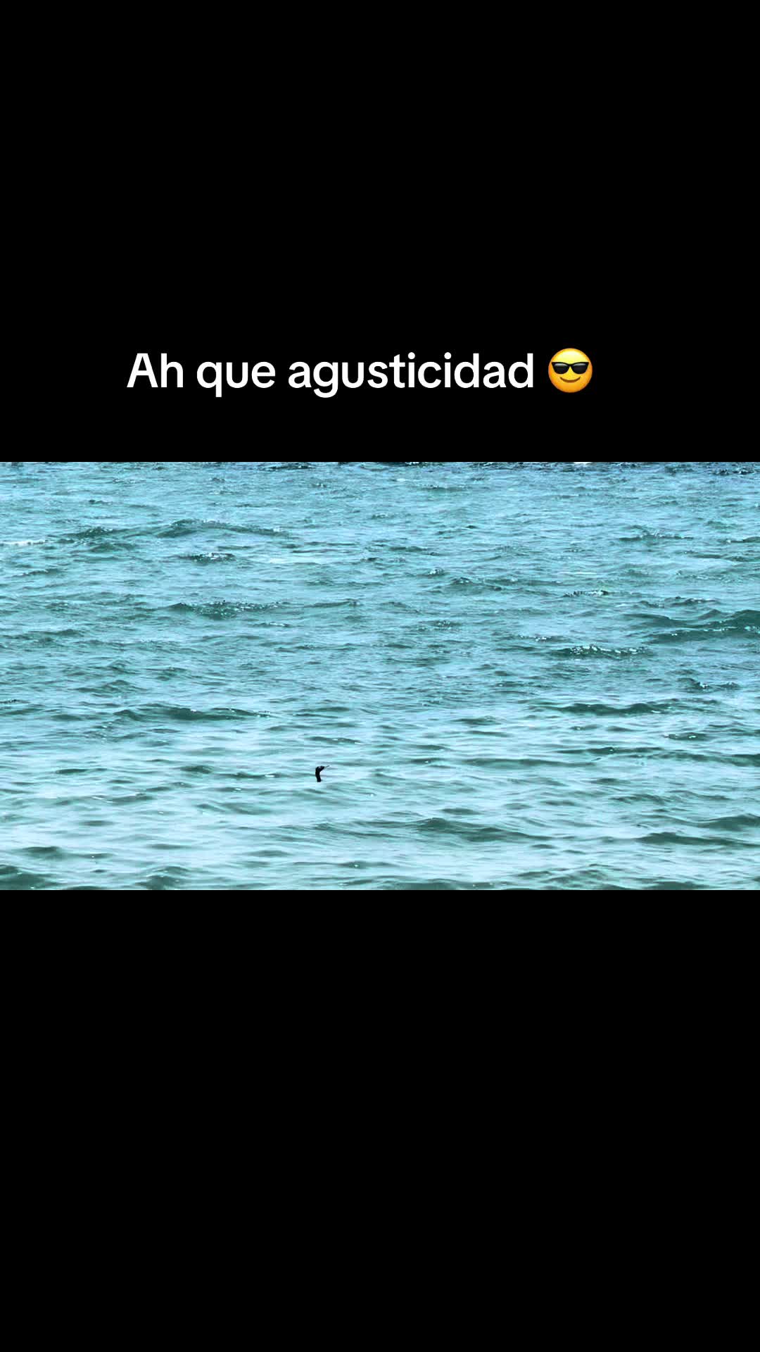 @Patho💜