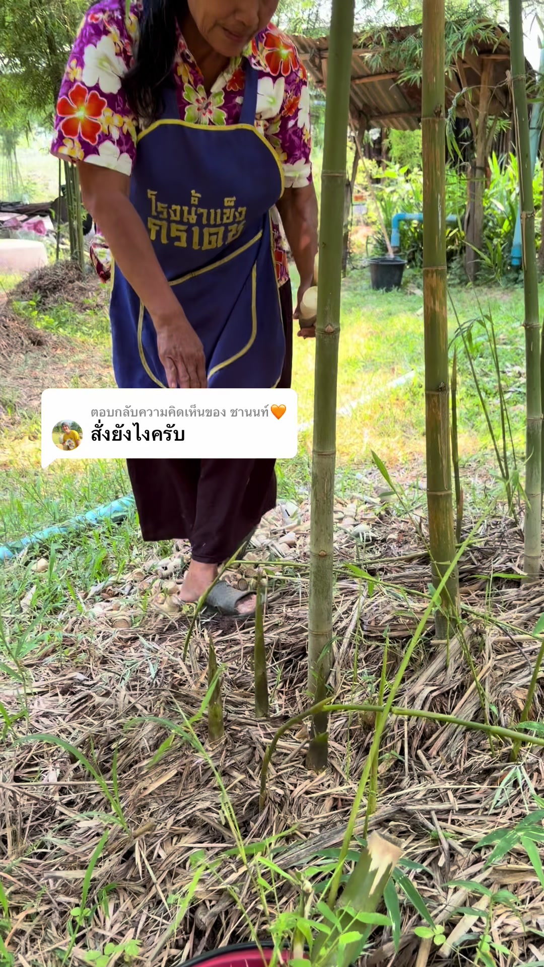 @นัดดาชอป