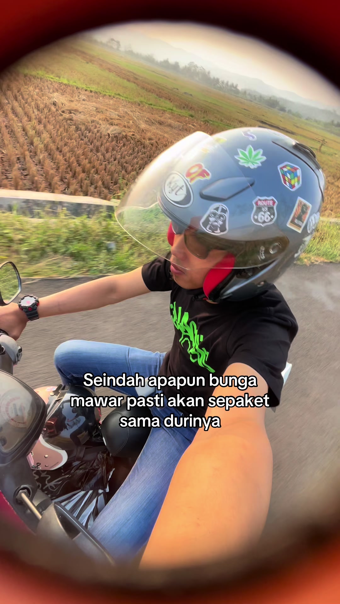 @iePipin🌵