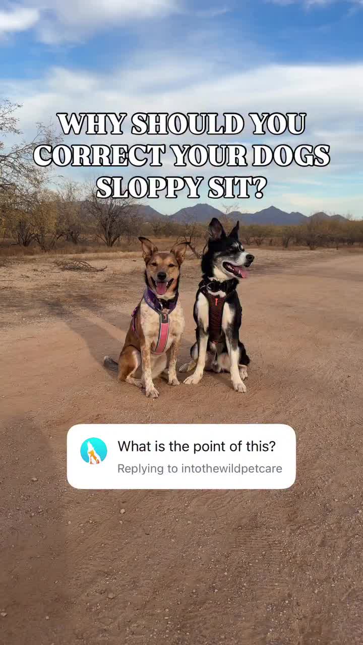 @Marissa | Kota & Aspen