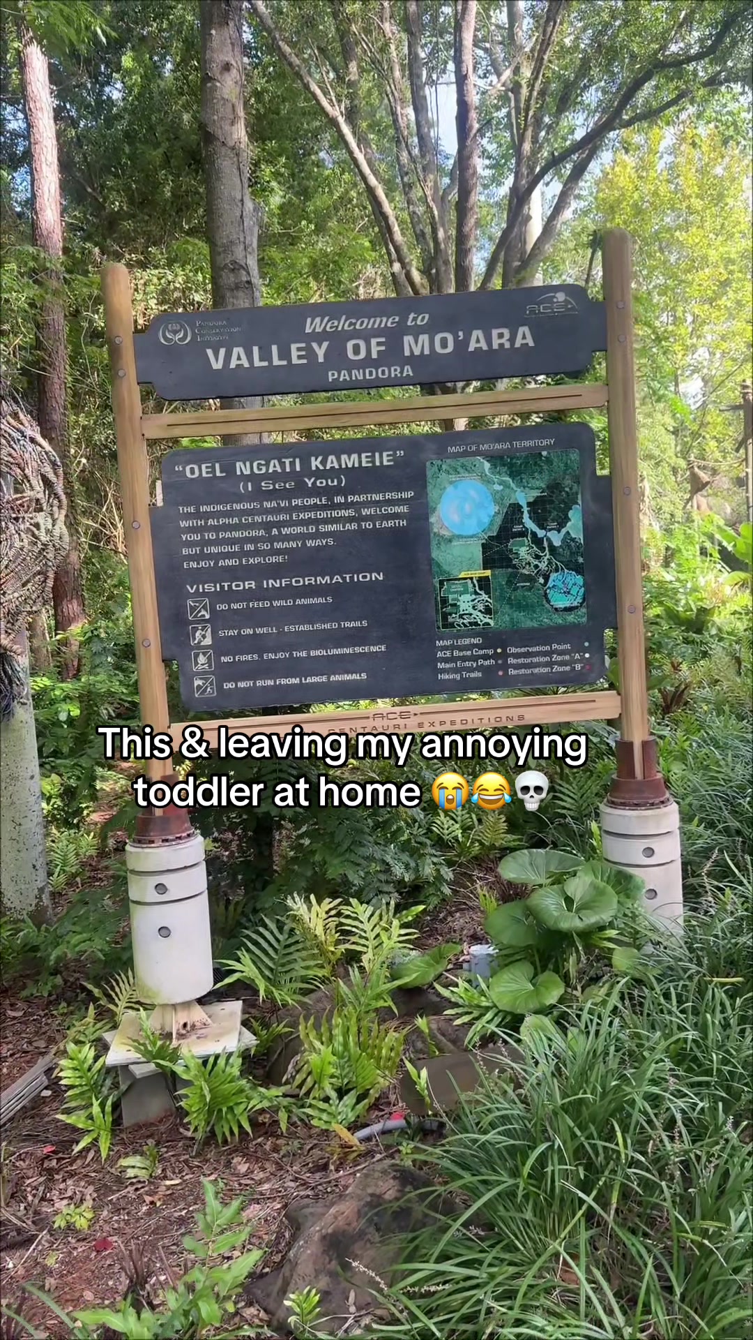 @niki&nicole